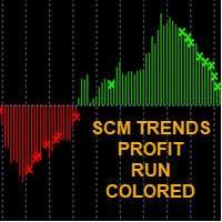 SCM Trends Profit Color Run