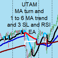 MA turn and 1 to 6 MA trend and 3 SL and RSI EA
