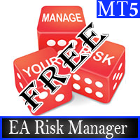 Risk Manager MT5 FREE