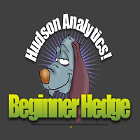 Beginner Hedge