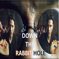 Down the Rabbit Hole MT5