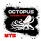 Octopus Indicator MT5