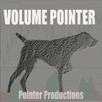 Volume Pointer