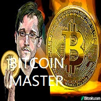 master bitcoin
