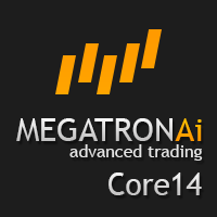 Megatron Core 14