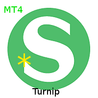Shmendridge PAM Turnip for MT4