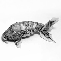 USDCatch MT5