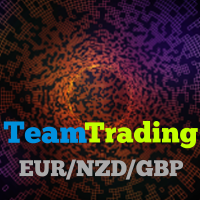 Team Trading Eur Nzd Gbp