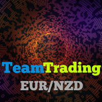Team Trading Eur Nzd