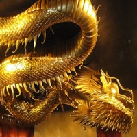 Gold Dragon EA