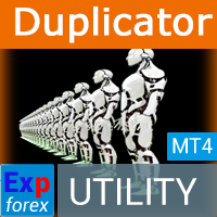 Exp4 Duplicator