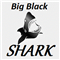 Big Black Shark MT5