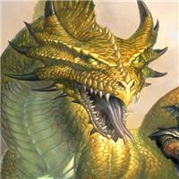 Gold Dragon Rebete