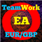 Teamwork Eur Gbp EA