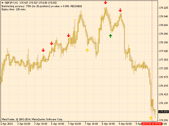 Binary Option Unmasked