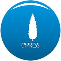 EA Cypress