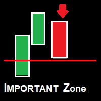 Important Zone