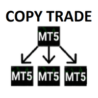 Copy Trade MT5