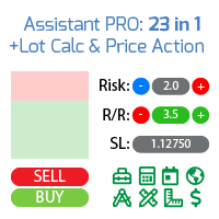 Assistant 23 in 1 Demo