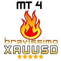 EA Bravissimo XAUUSD h1 for Optimization