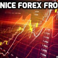 Nice Forex Pro