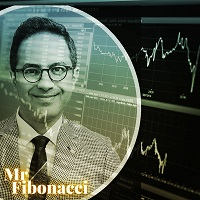 Mr Fibonacci Robot