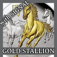 Gold Stallion