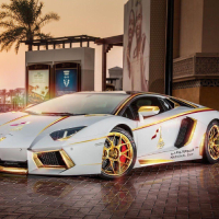 Gold Raider