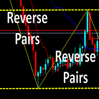 Reverse pairs