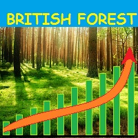 British Forest