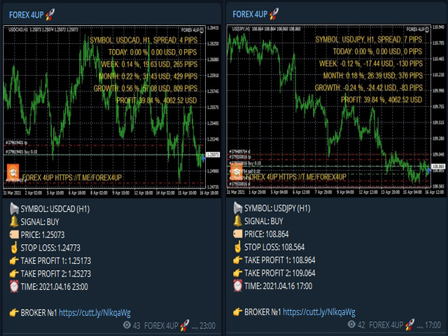 Forex 4up MT5