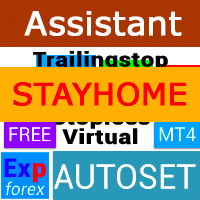 Exp Assistant 4