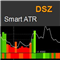 DSZ Smart ATR