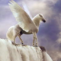 Pegasus The Winged White Horse