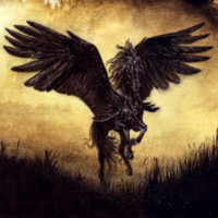 Pegasus Winged Black Horse