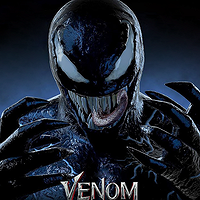 Night Venom MT4