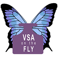 VSA on the Fly MT5