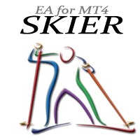 Skier