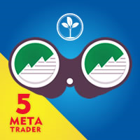 Filter MT5