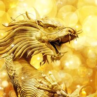 Gold Charizard