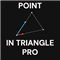 Entry Triangle Point PRO