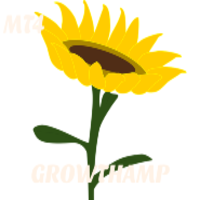 Growthamp