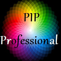 Pip Professional