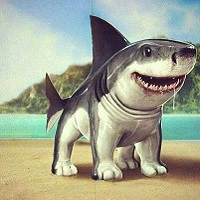 FX Megalodon