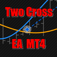 Two Cross Expert
