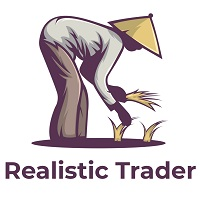 Realistic Trader