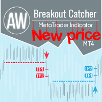 AW Breakout Catcher