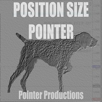 Position Size Pointer