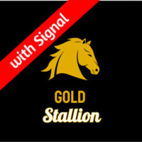 Gold Stallion