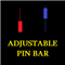 Adjustable Pin Bar